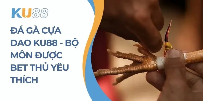 Đá Gà Cựa Dao